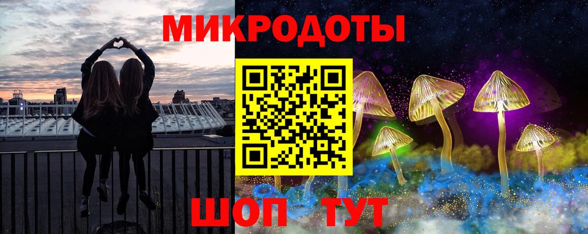 Псилоцибиновые грибы Psilocybine cubensis Ессентуки