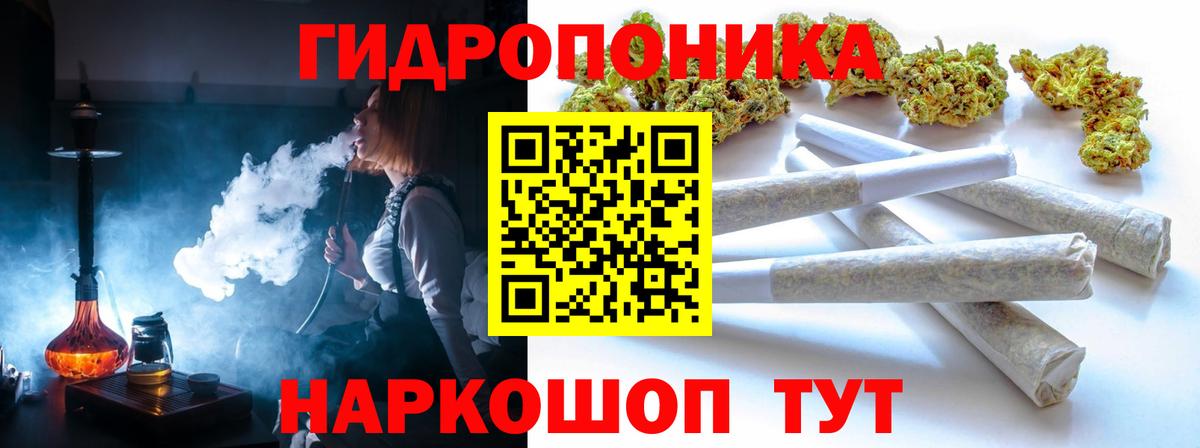Марихуана план  Вход с VPN  Канабис White Widow  Ессентуки  Конопля Bruce Banner 